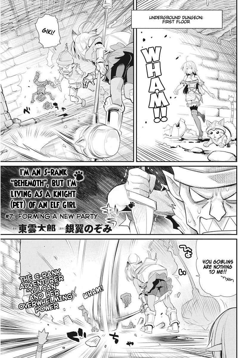 I Am Behemoth Of The S Rank Monster But I Am Mistaken As A Cat And I Live As A Pet Of Elf Girl - Page 2