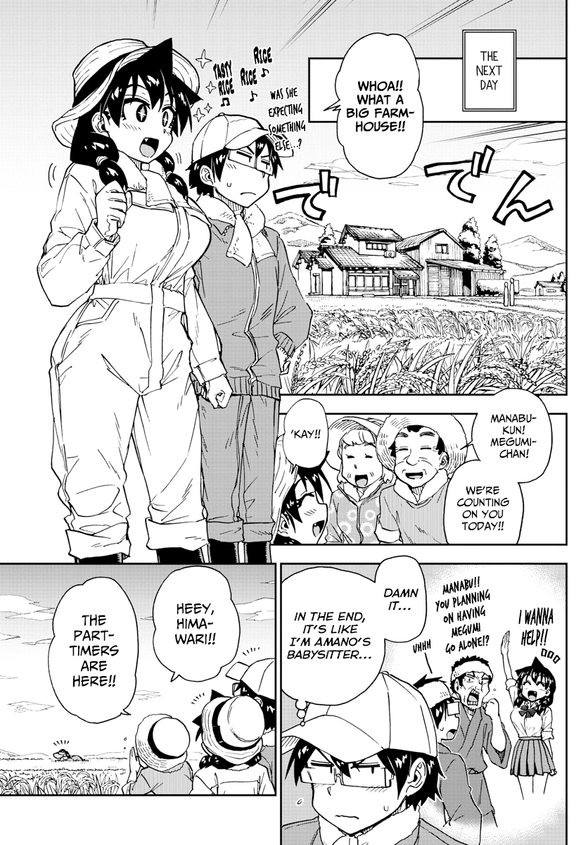 Amano Megumi Wa Suki Darake! Chapter 165: Rice Harvesting - Picture 3