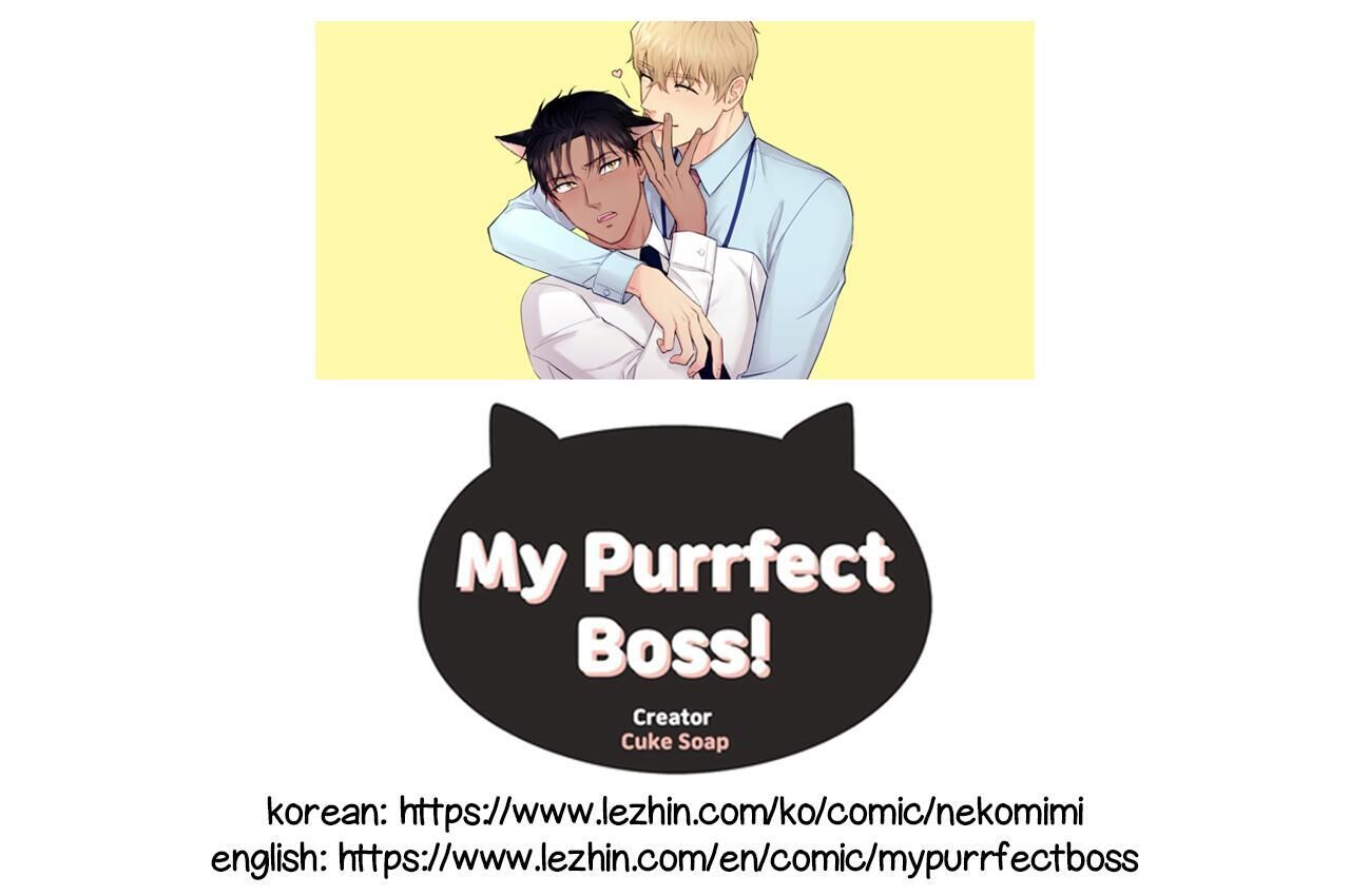 My Purrfect Boss! Chapter 24 - Picture 1