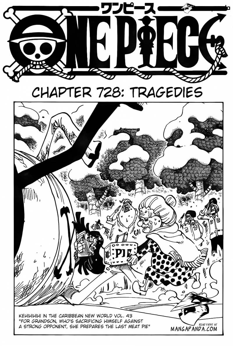 One Piece Chapter 728 : Tragedies - Picture 3