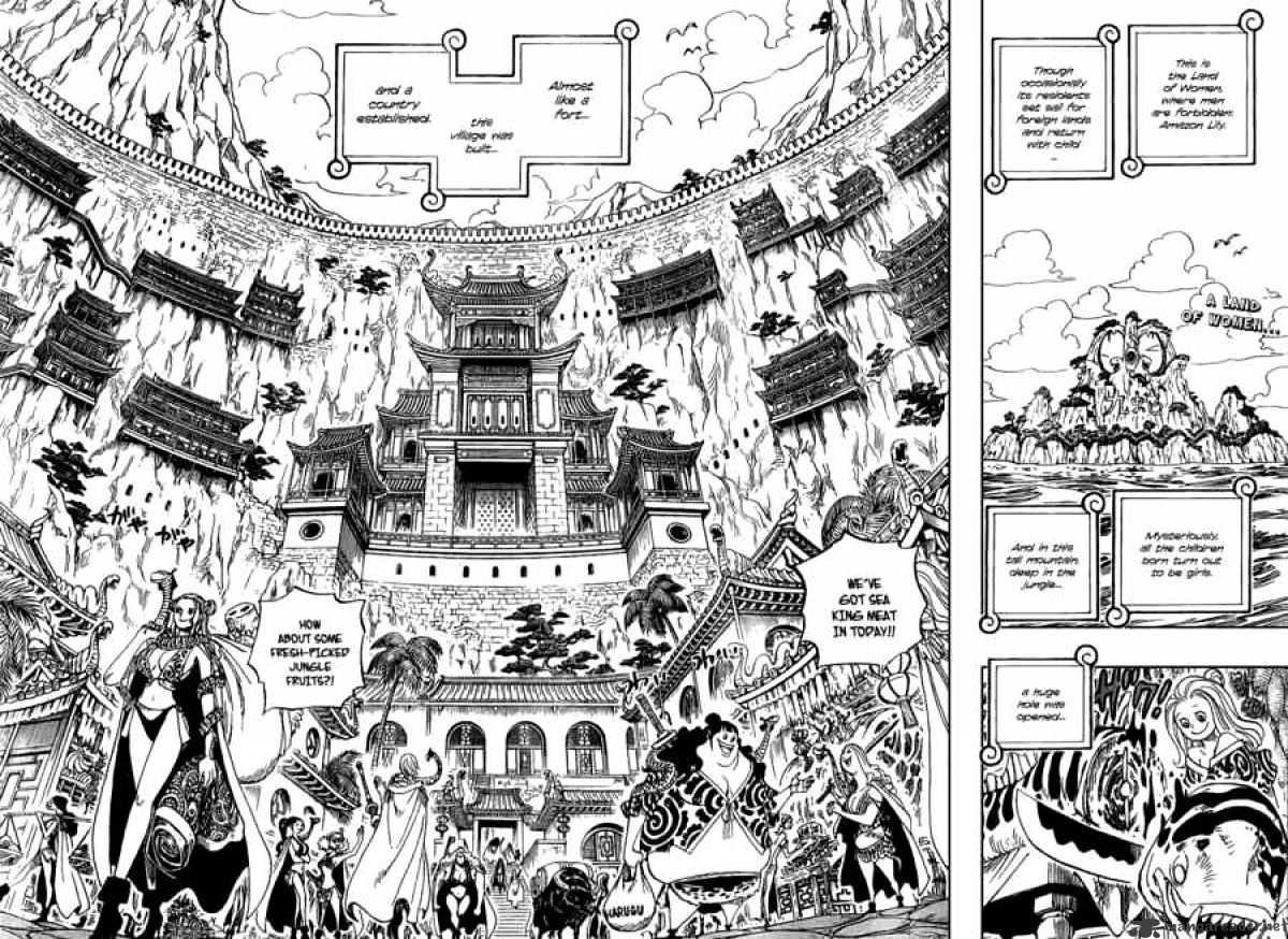 One Piece Chapter 515 : Adventures On The Isle Of Women - Picture 2