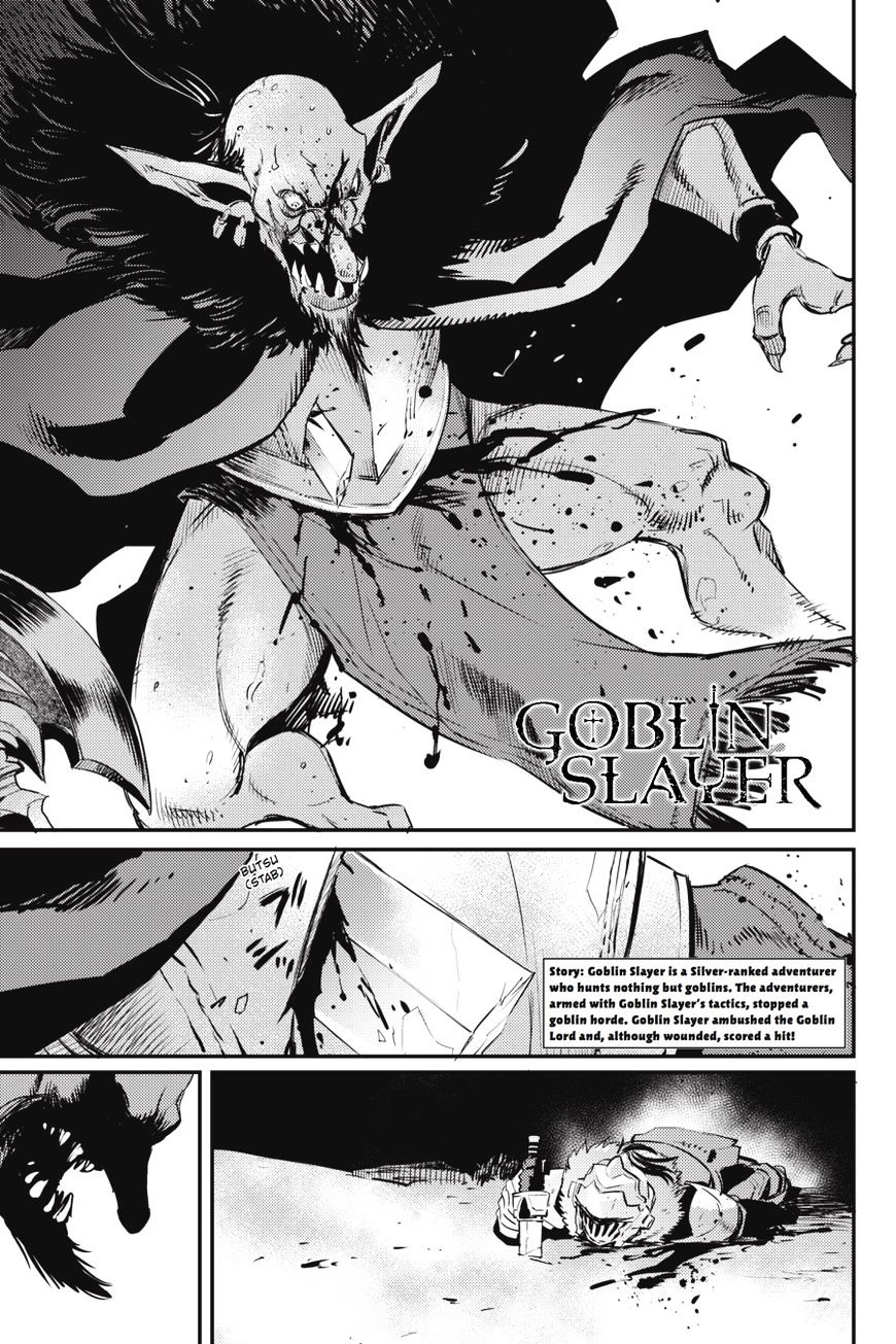 Goblin Slayer Chapter 15 : Goblin Slayer 15 - Picture 2