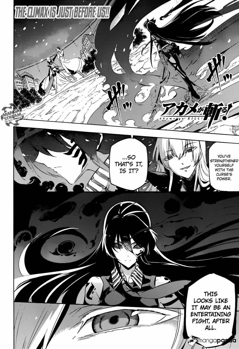 Akame Ga Kill! Chapter 77 - Picture 1
