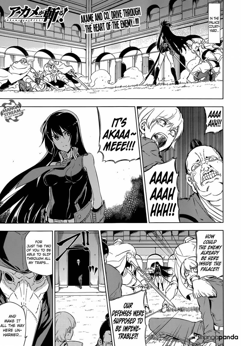 Akame Ga Kill! Chapter 70 : Kill The Bedlam (Conclusion) - Picture 1