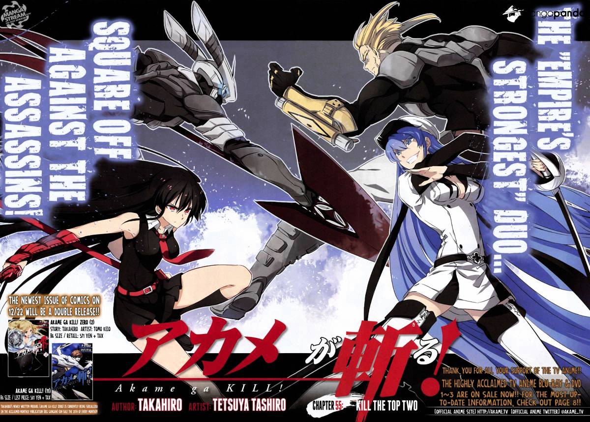 Akame Ga Kill! Chapter 55 : Kill The Top Two - Picture 2