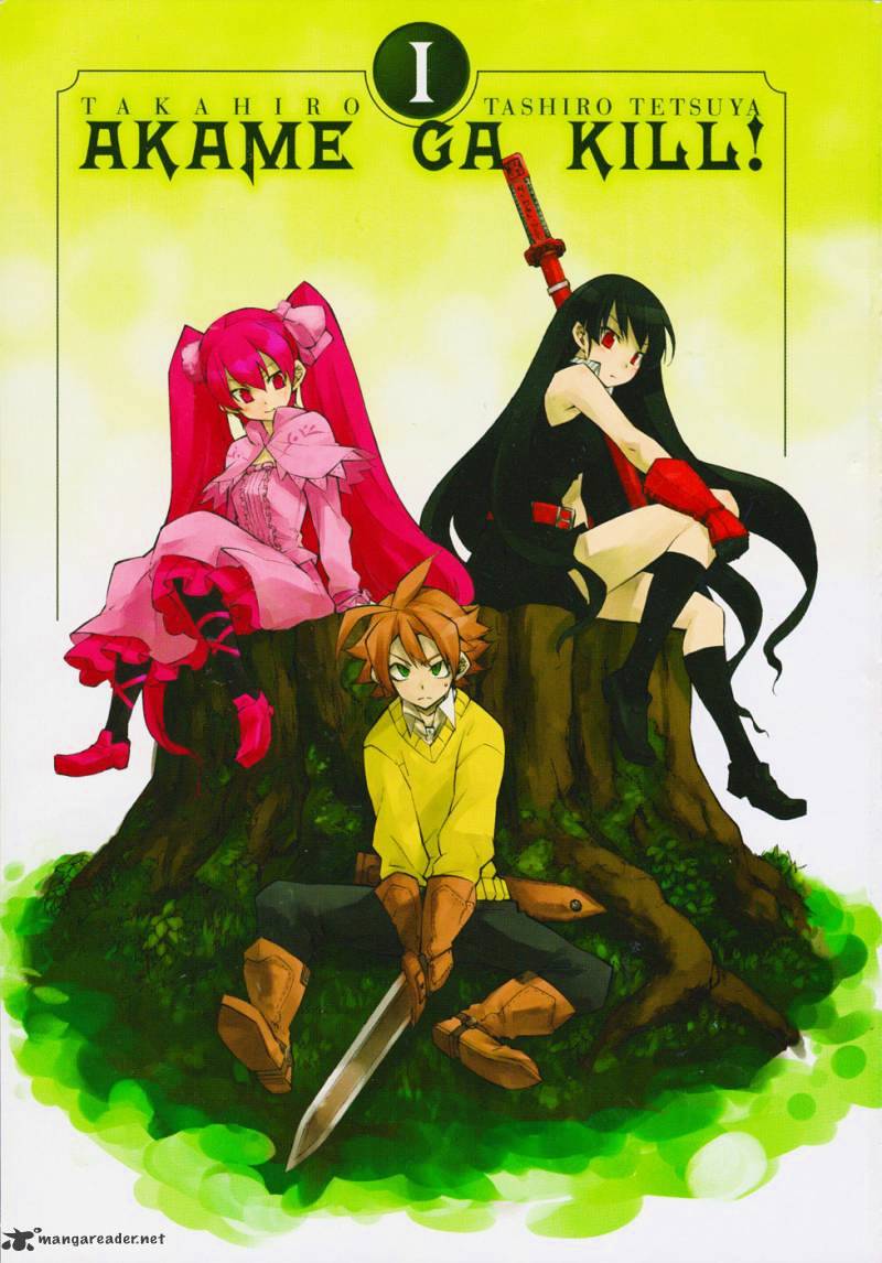 Akame Ga Kill! Chapter 1 : Kill The Darkness - Picture 2