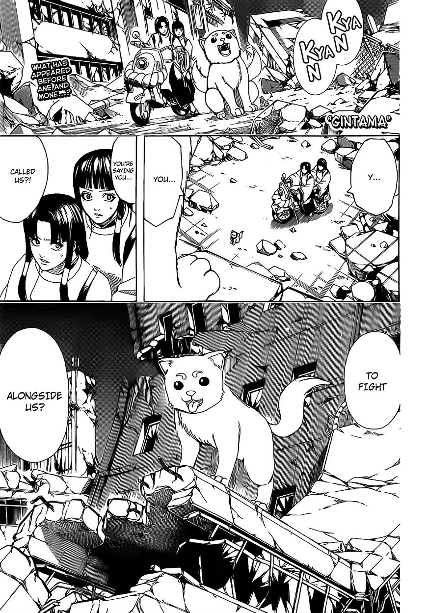 Gintama Chapter 651 : When You Need A Hand, Ask A Beast With Paw Pads - Picture 1