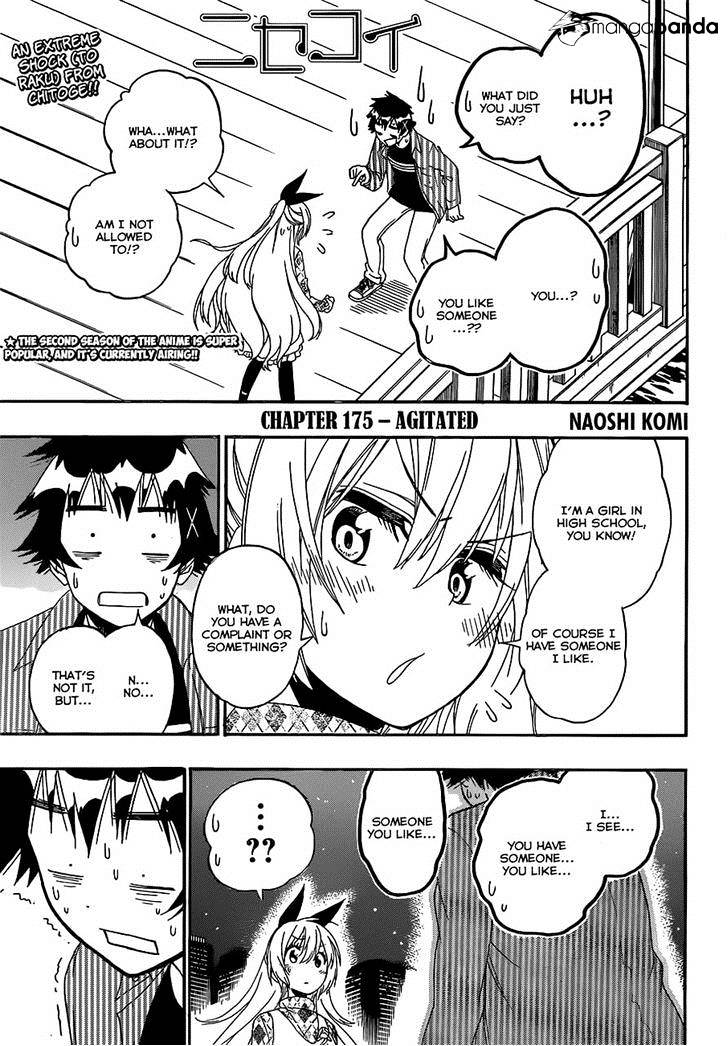 Nisekoi Chapter 175 - Picture 1
