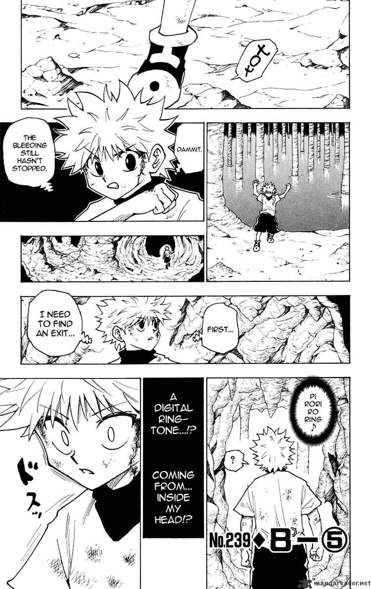 Hunter X Hunter Chapter 239 : 8 - 5 - Picture 1