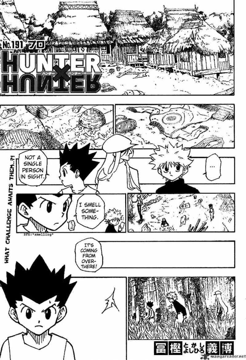 Hunter X Hunter Chapter 191 : 70 - Picture 2