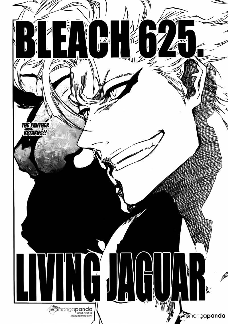Bleach Chapter 625 : Living Jaguar - Picture 2
