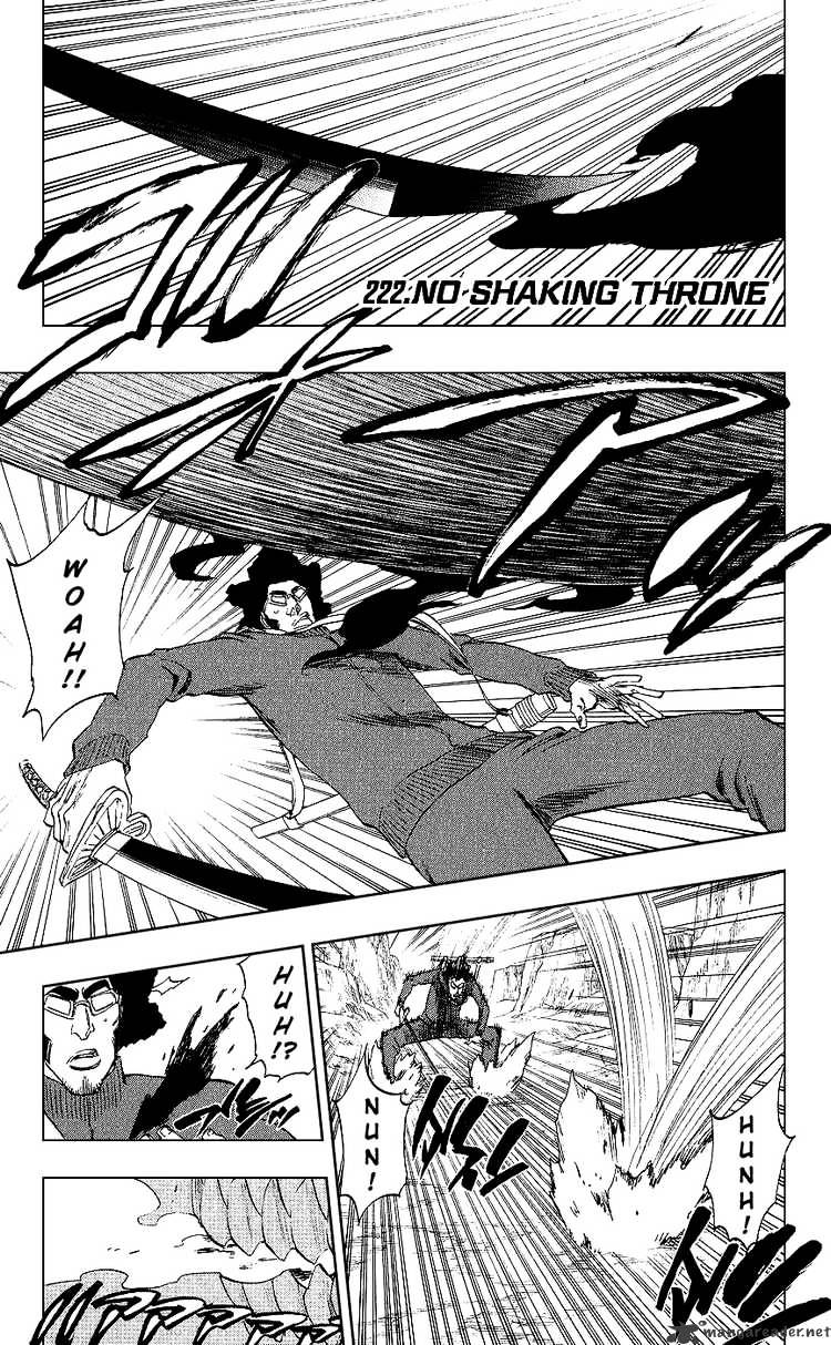 Bleach Chapter 222 : No Shaking Throne - Picture 1