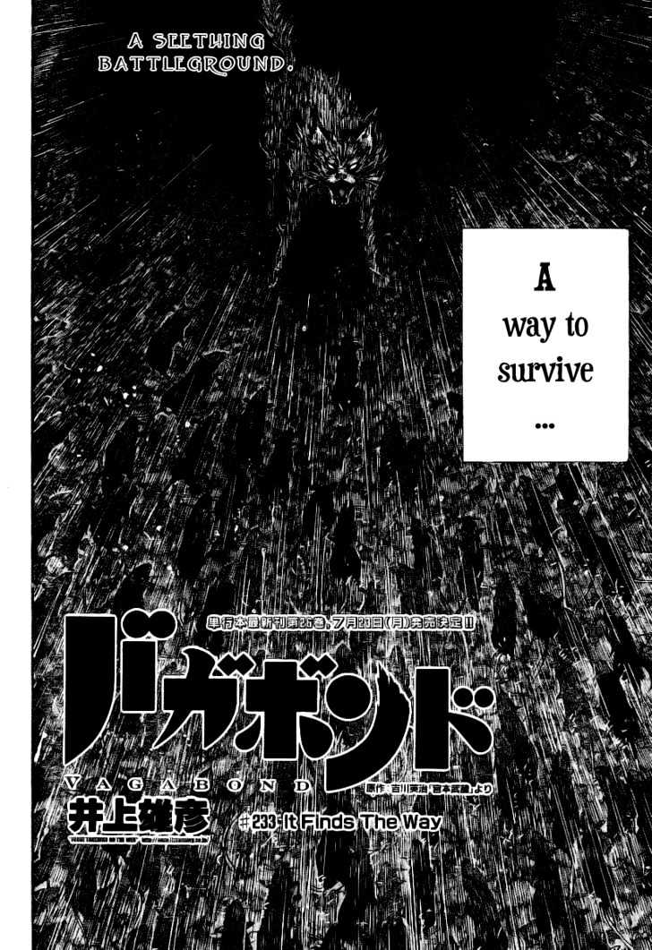 Vagabond Vol.26 Chapter 233 : It Finds The Way - Picture 3