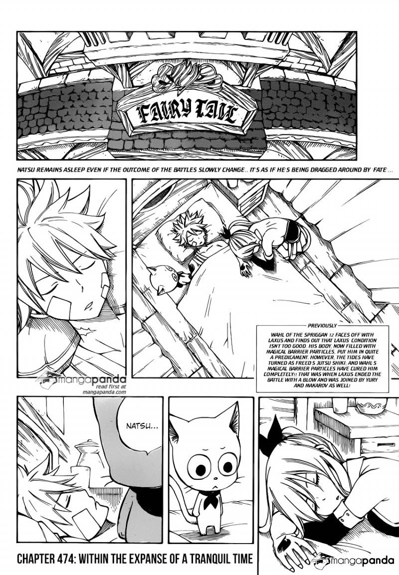 Fairy Tail Chapter 474 : Within The Expanse Of A Tranquil Time - Picture 2
