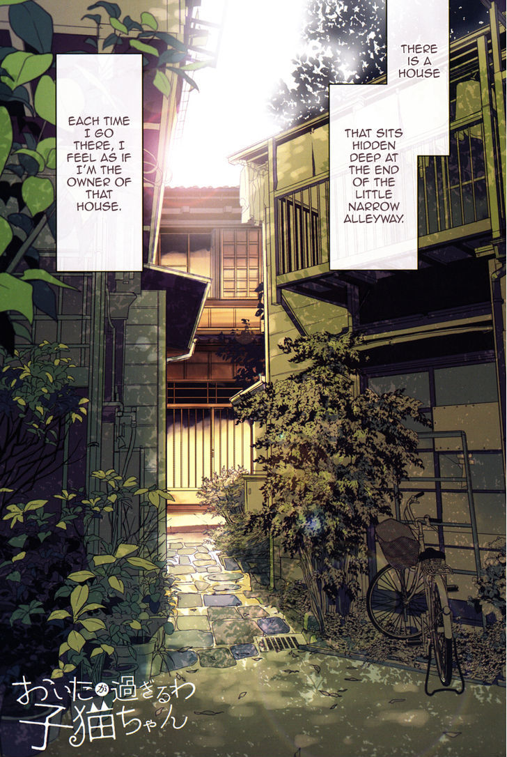 Oita Ga Sugiru Wa Koneko-Chan - Page 3
