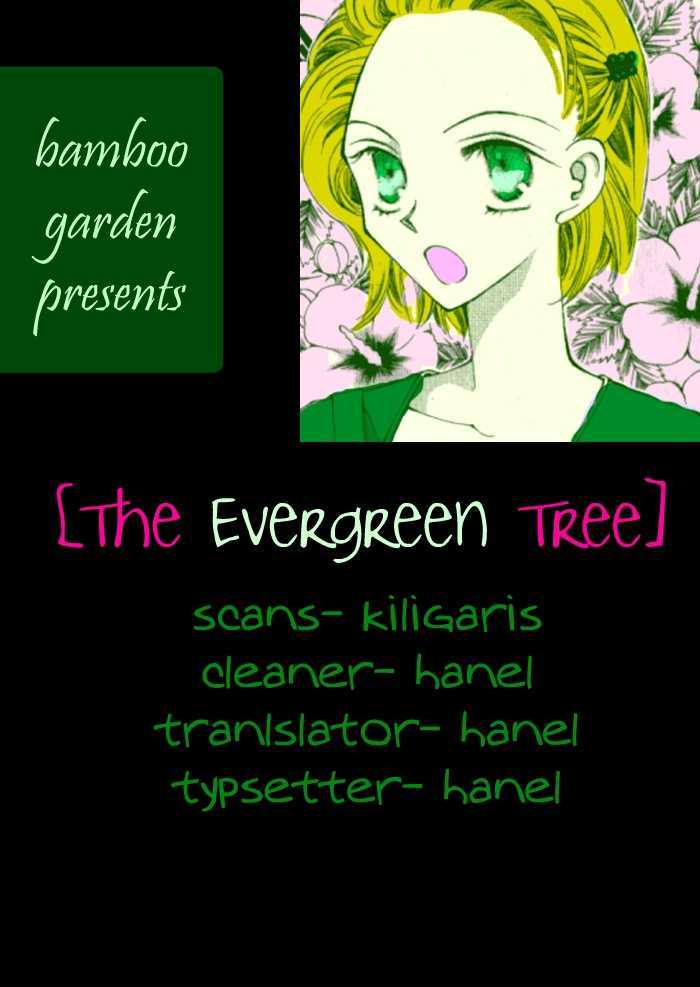 The Evergreen Tree Chapter 0 : The Evergreen Tree - Picture 1